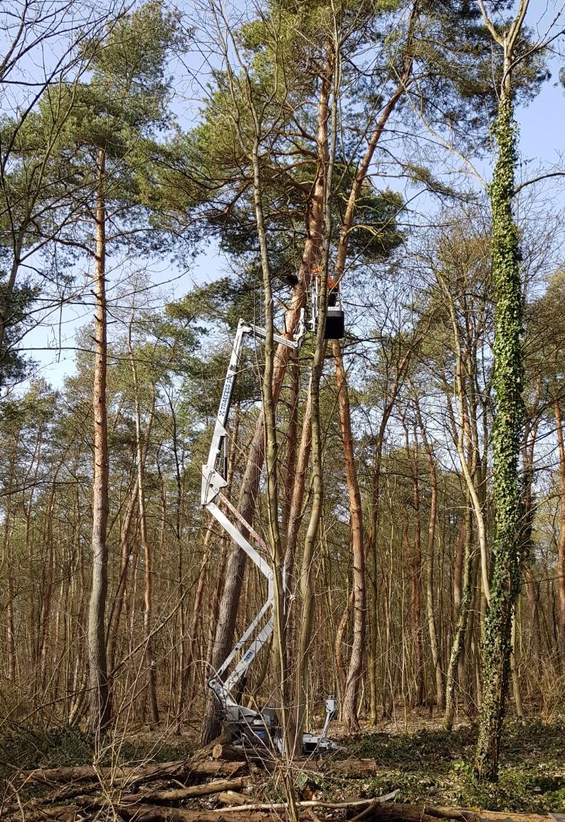 Katzenrettung 4