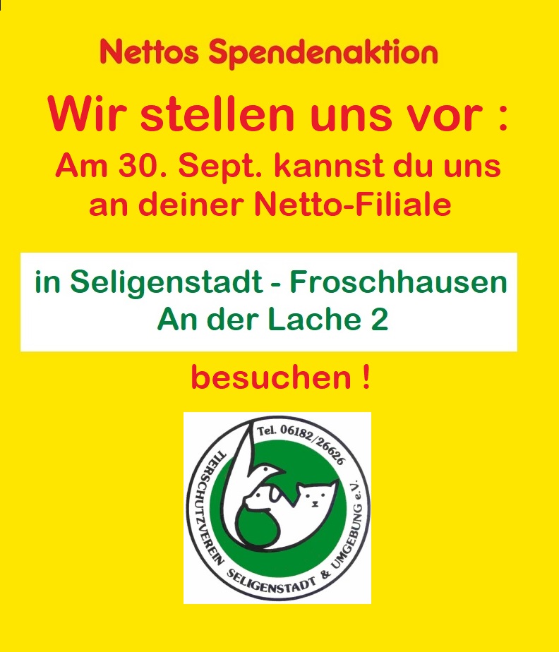 Vorstellung Netto 2023