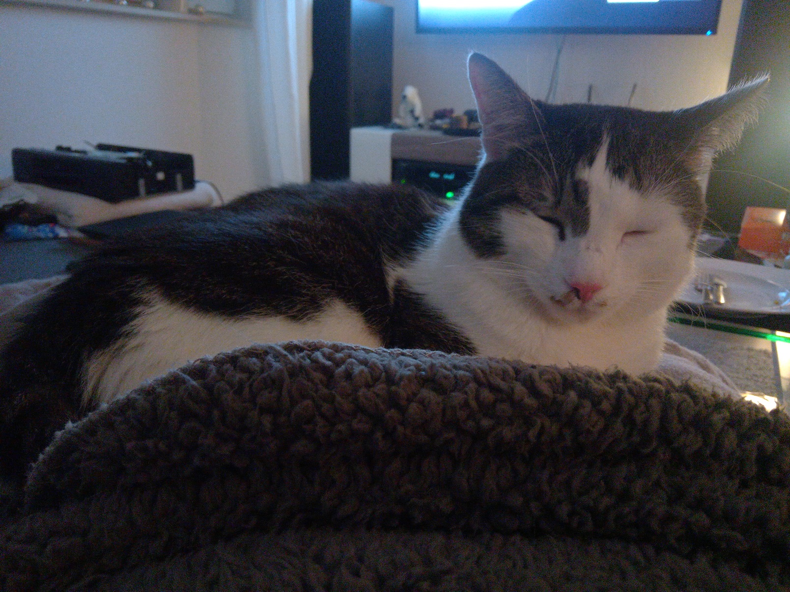 Leroy