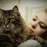 Bonnie_u._Clyde_20