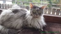 Bonnie_u._Clyde_4