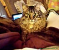 Bonnie_u._Clyde_7