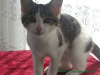 Claudette_1