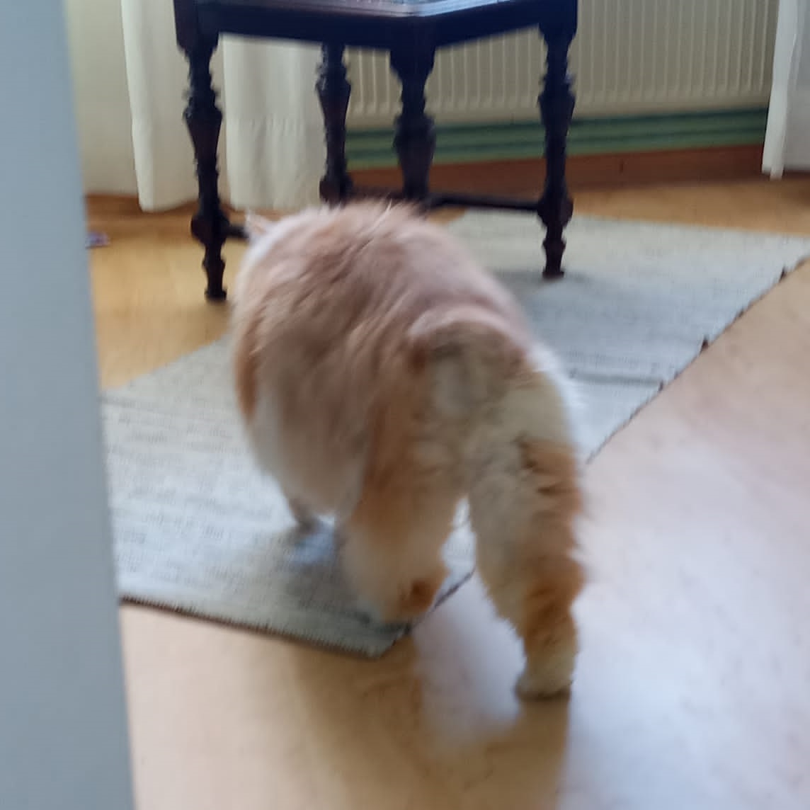 Kiro