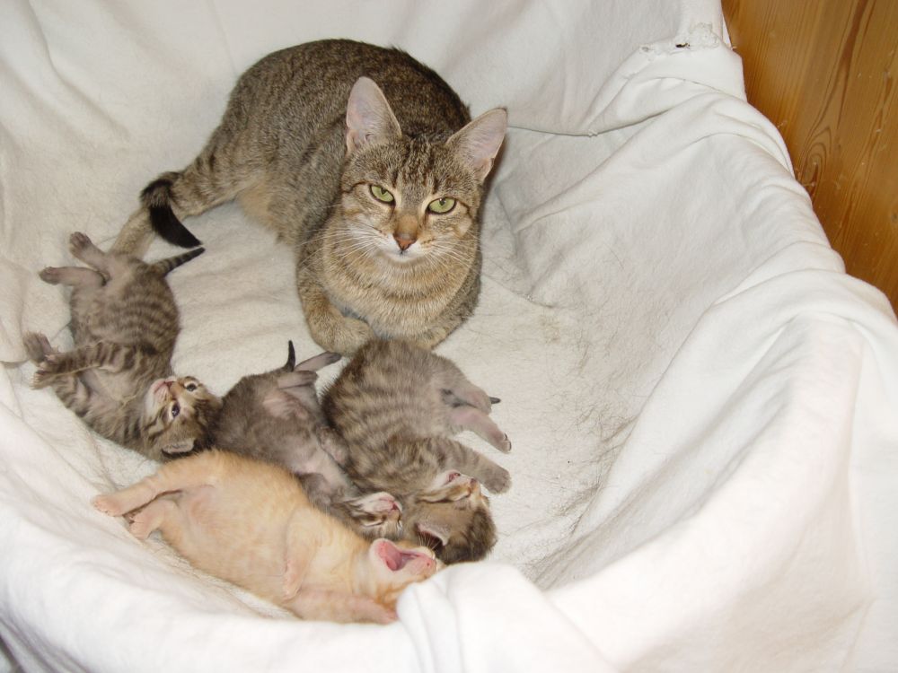 Babys 10 Tage