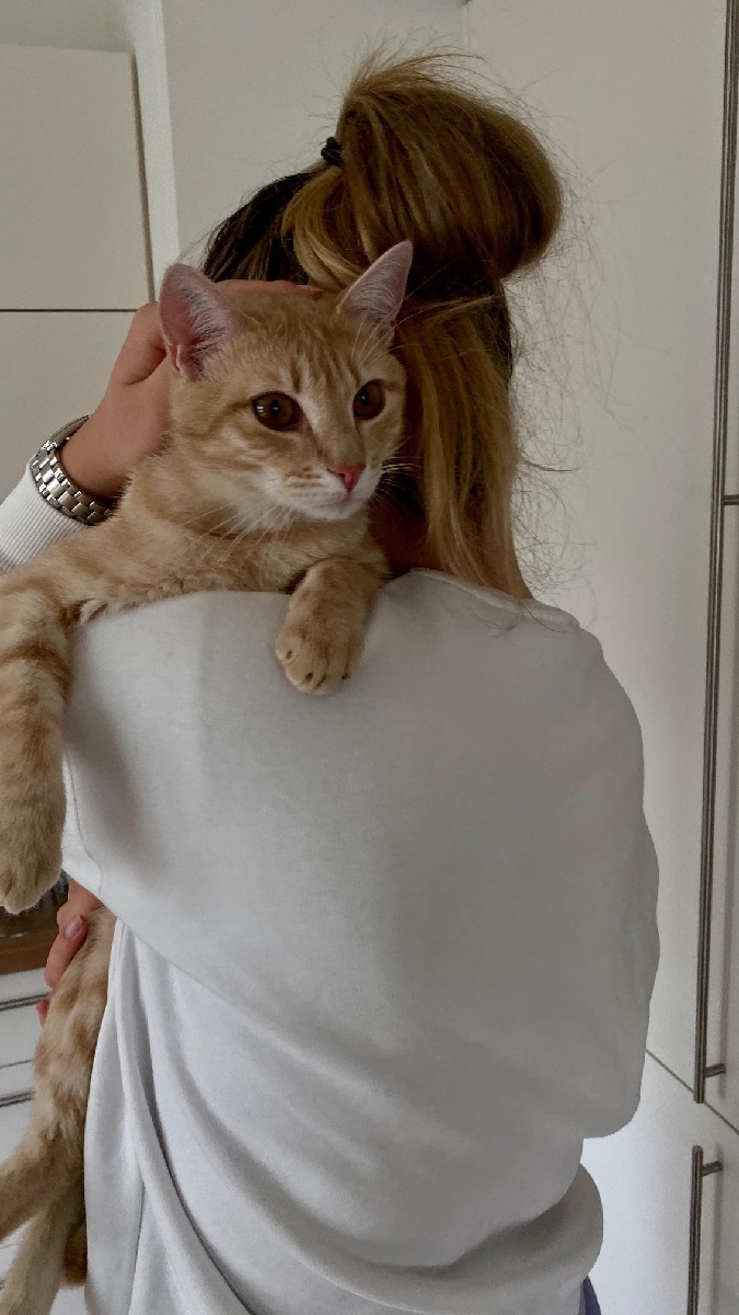 Romeo 9