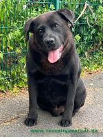 Blacky
