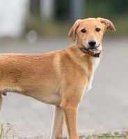 Buddy_21