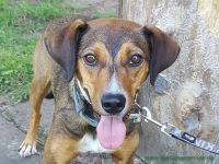 Buster_3