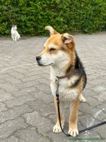 Cooper_3