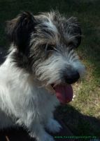 Franklin_3