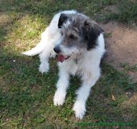 Franklin_2