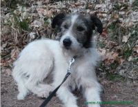 Franklin_5