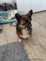 Fred_2