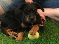 Gerda_3
