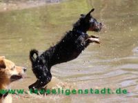 Gerda_4