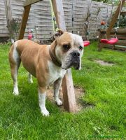 Otto_22