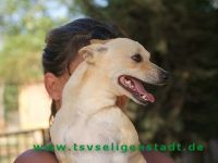 Pachecko_2