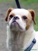 Rocky_3