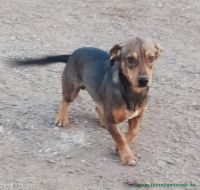 Rocky_21