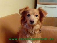 Sammy_2