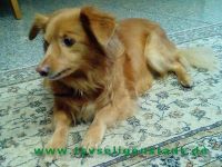 Sammy_1