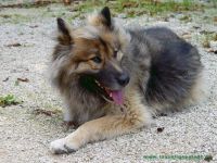 Samy_1