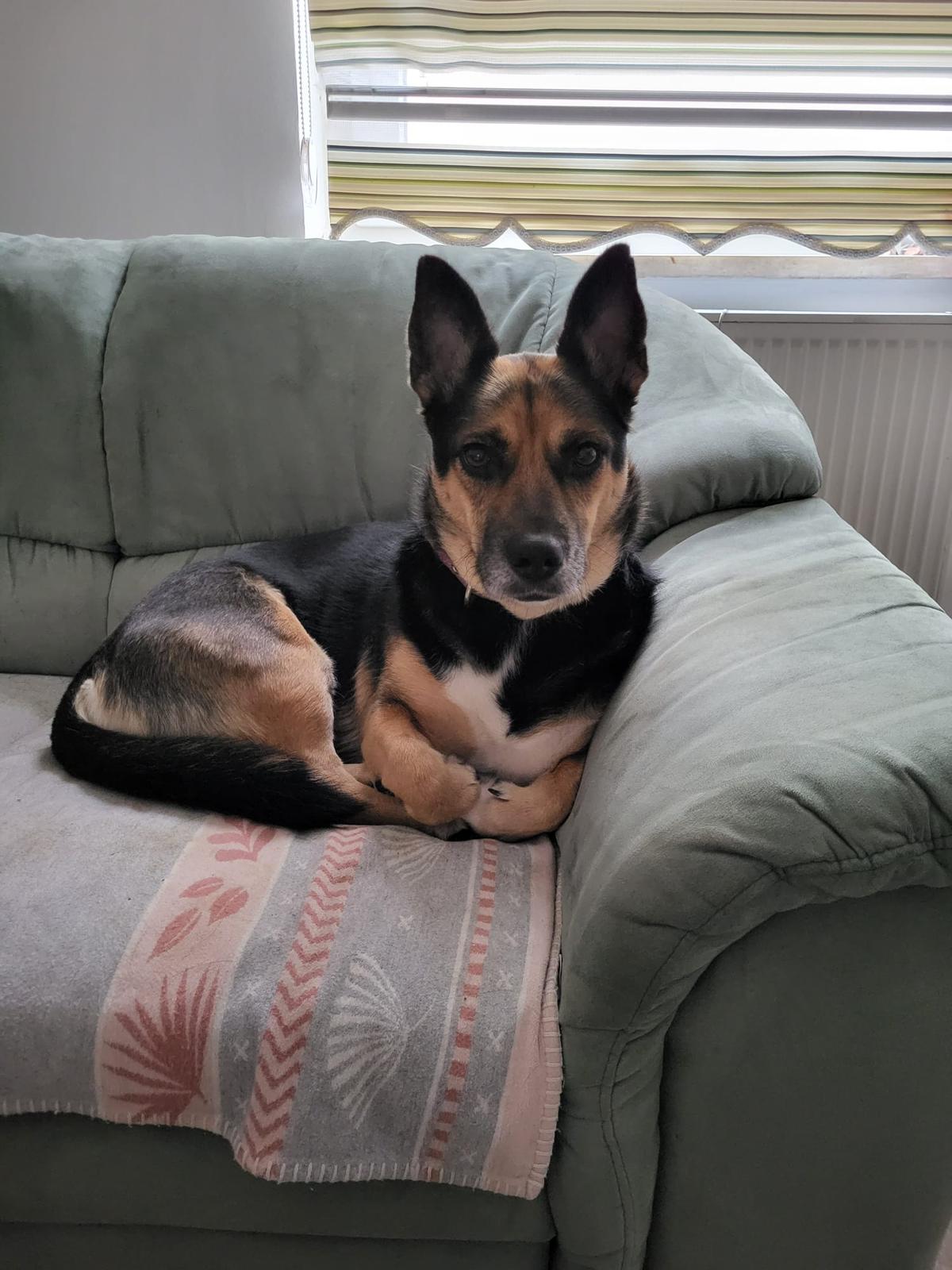 Sara