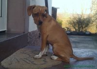 Shelly_3