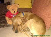 Shelly_1