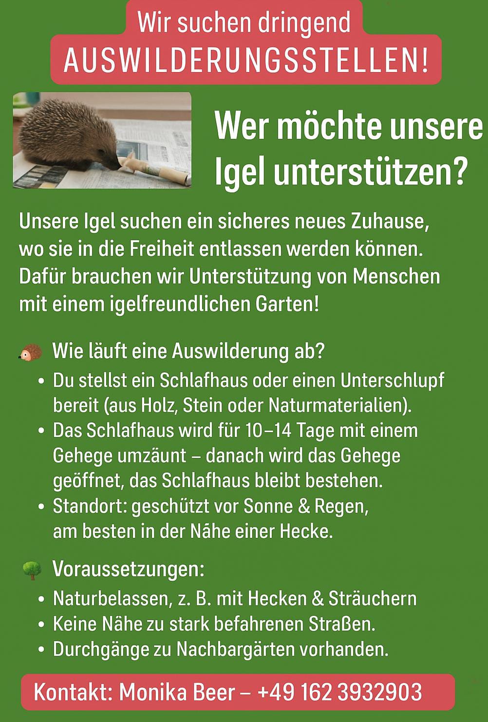 IgelAuswildern