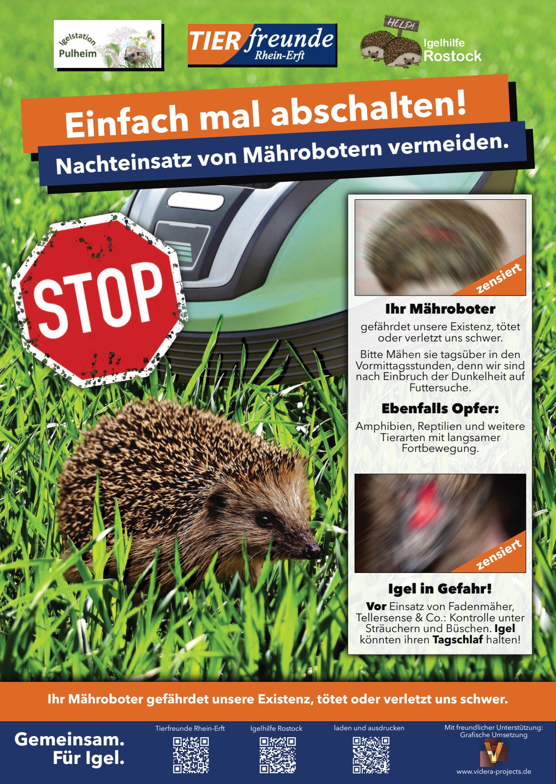 Igel Schutz 7