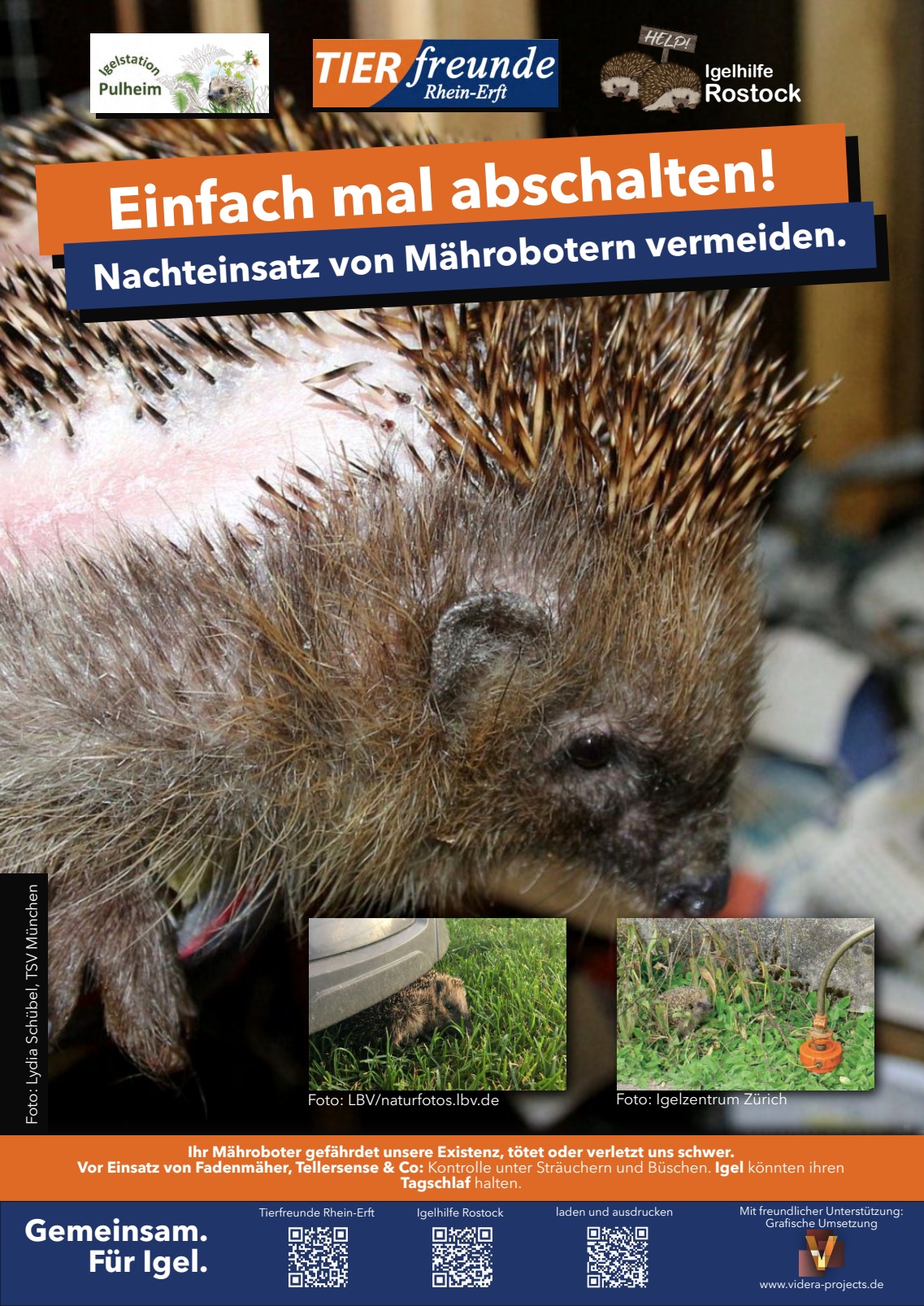 Igel Schutz 8