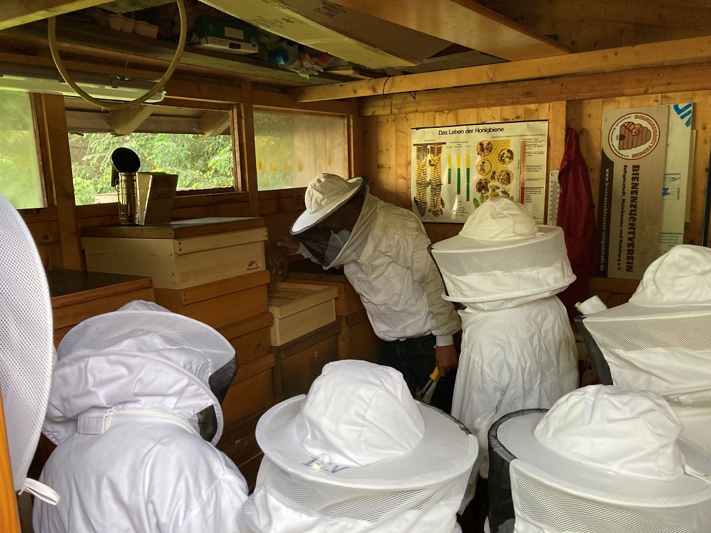 Jg Bienen 6