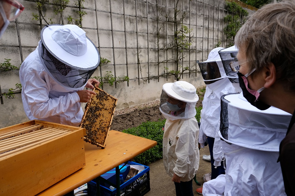Jg Bienen 7