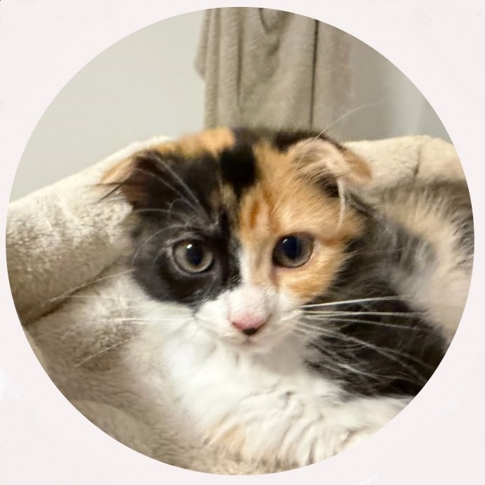 Cleo 2
