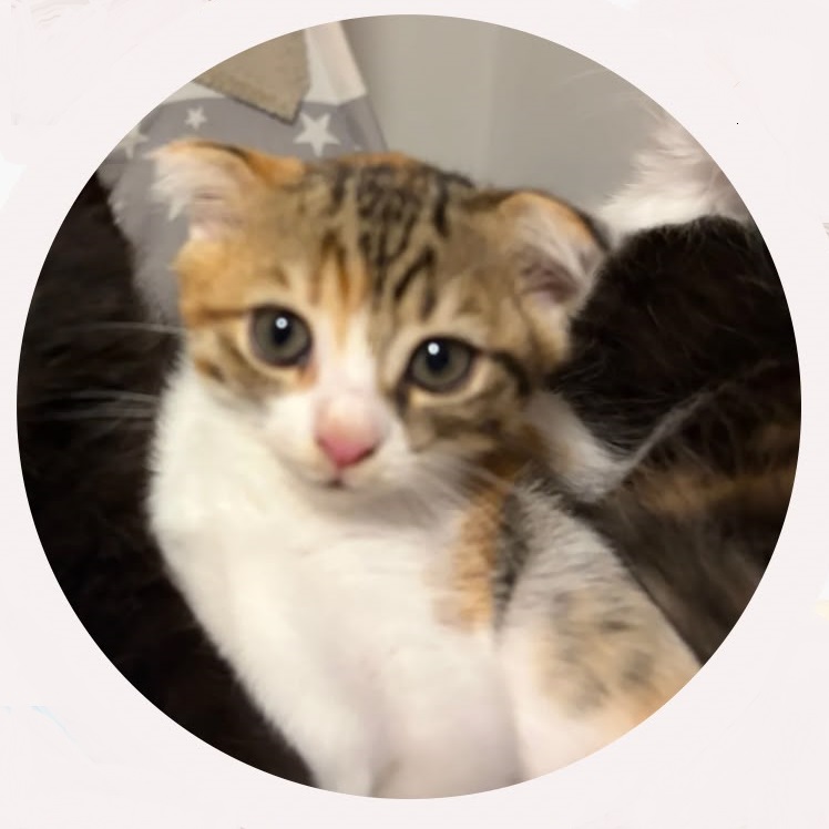 Mimi 2