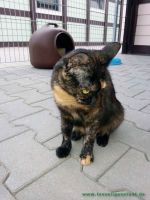 Alida_2