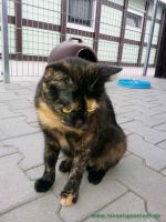 Alida_3