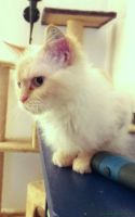 BellaB_52