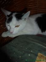 Bilbo_Sally_1