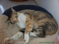Bilbo_Sally_4