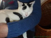 Bilbo_Sally_2