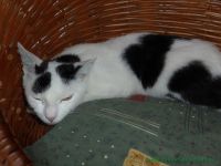 Bilbo_Sally_3