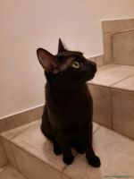Billy_2