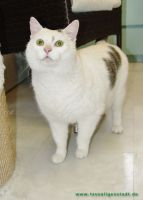 Bubchen_2