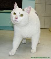 Bubchen_4