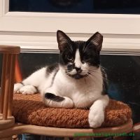 Charlie_2