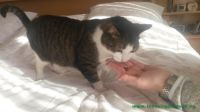 Filou_2