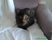 Floeckchen_4